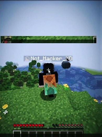 Minecraft Crazy Command Moment 💀 Part 3