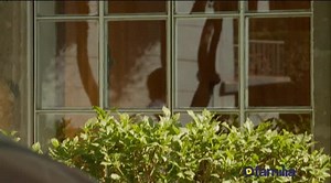 Take Home Chef (TV Series 2005– ) ⭐ 7.4 | Reality-TV