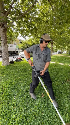 This lawn is pumping now with a bit of TLC. 💚thanks@Lawn Addicts #lawncare #lawns #pumping #mowinggrass #keepofthegrass #sobersaturday #stihlbatterypower #hondamower #kinggee #fxd #blundstoneboots #3mearprotection #CapCut | Blossom Lawns & Gardens