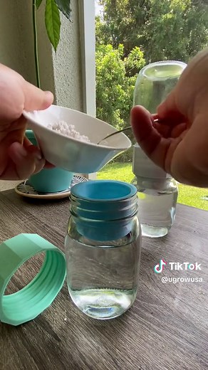 Ugrow: Mason Jar Seed Growing for Beginners