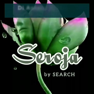 7.2K views · 703 reactions | Search - Seroja (Lyrics) | Peminat Lagu Rock | Facebook