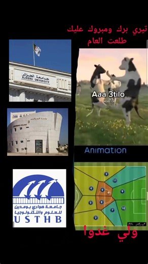 Understanding USTHB Student Life and Culture