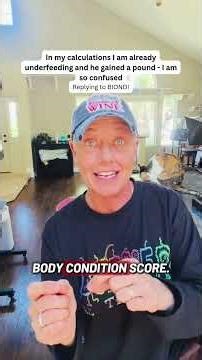 Feeding your cat the right amount for a healthy weight - Calories and Body Condition Score😻 #cats