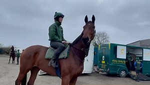 DONT MISS! 🐎🐎 Cross Country schooling PART 2 at Richmond Equestrian Centre with 7 of our horses, Sheriff, Wemyss, Ghandi Maker, Stitch, Sugar Butties & Another Theatre 👏 a great schooling session round an amazing facility #fedontopspec | Philip Kirby Racing