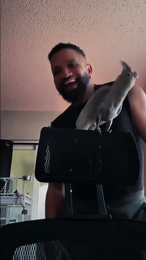 🐦 Birds Dancing With Me😂 Nature's Cutest Dance Party 💃 #birds