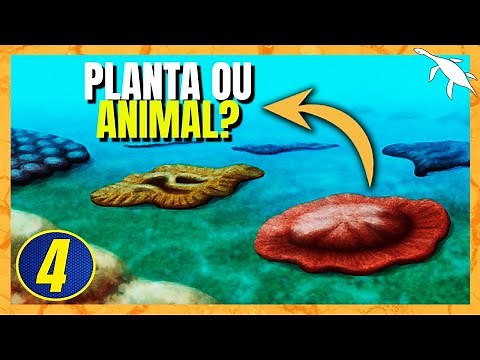 The FIRST ANIMALS and PLANTS in the WORLD | Proterozoic #1