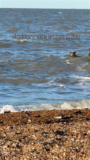 January was a whirlwind! Met and spoke to amazing guests, filmed sneaky peaks, and explored a new property. Our town is a gem - beach, shops, and eats make every day special, and we have some cracking places on our doorstep to visit. Bring on February! #whitstable | Whitstable Holiday Homes