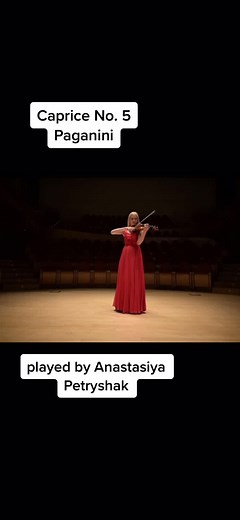Technique⚙️😍 #classic #music #classicalmusic #concert #violin #violinist #amazing #stunning #beautiful #beauty #paganini #caprice #5
