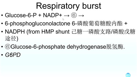 自学 First Aid FA P-107 呼吸爆发 葡萄糖-6-磷酸脱氢酶 G6PD