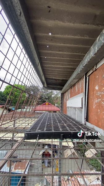 #kalapatidsph🇵🇭 #fyppppppppppppppppppppppp #racingpigeons #foryoupageofficiall