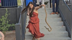 Bridesmaid Grabs Snake That Crashed Wedding