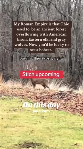 #onthisday | On This Day