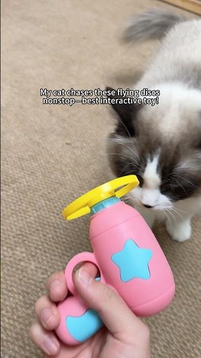 This cat frisbee launcher is a game-changer! keeps cats active & solves boredom for good!
