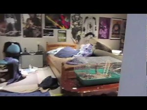 *Splash* Season 1 Episode 2 "Secrets Revealed"