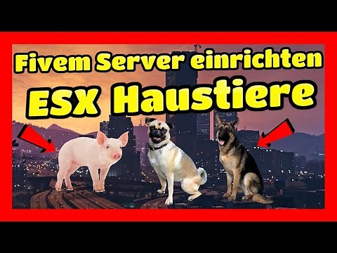 Setting up Fivem Server #28 ESX Pets // Installing Pet Shop