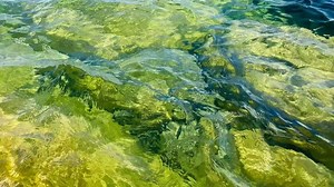 高中化学04.11碘单质的升华