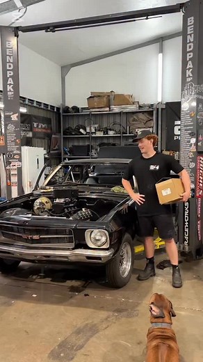 5K views · 279 reactions | @haltech Nexus Rebel LS kit fitted to...