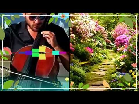 🌸 Swaying Into Spring with HAUSER 🌸