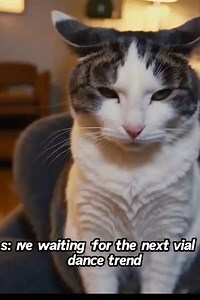 42K views · 103 reactions | 藍 | Ben Phillips | Facebook