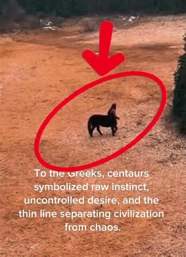 Half human. Half horse.A myth that reveals humanity’s inner battle. 🐎⚔️ #centaur #mythicalmonster