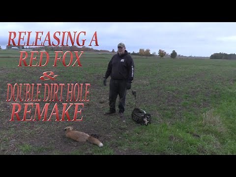 How to make a double dirt hole set and red fox release