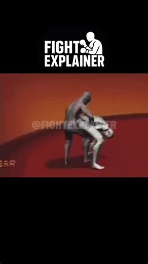 Fight Explainer on Instagram: "The Savate direct fouetté uses a fast, linear kicking motion to strike with the foot while maintaining balance and guard. Precise timing, hip alignment, and controlled retraction allow efficient delivery and quick recovery."