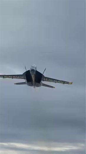 Blue Angels Sneak Pass 🔥✈️ | The Sound You’ll Never Forget