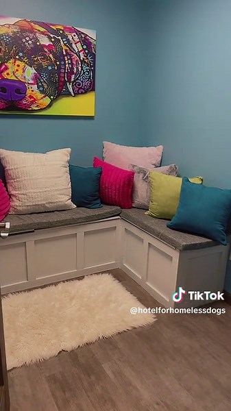 Hotel for Homeless Dogs: A Second Chance for Pups