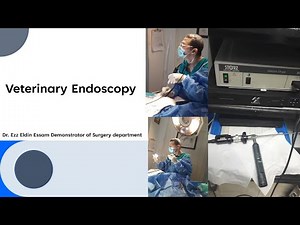 Endoscopy in Veterinary Medicine Principles, Equipment, NBI, Da Vinci & Safety Protocols