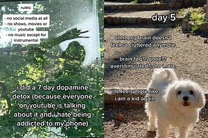 Could a dopamine detox help restore your sanity?
