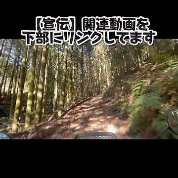 ベルト交換を確認する坂道 #スクーター #原付