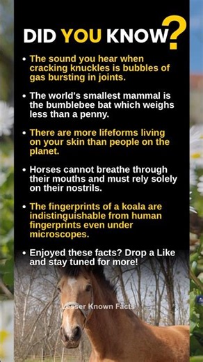 Did you know!🤩