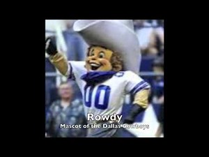 All of the NFL Mascots