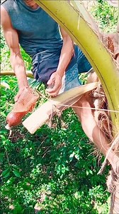 traditional wine making process