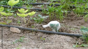 Ultrasonic mole repellent that works with solar energy and is active in the garden,