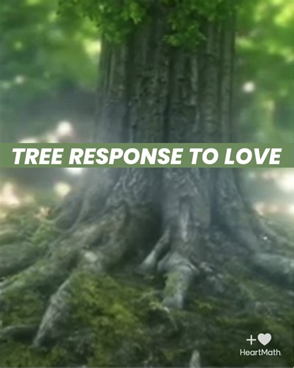 1.2M views · 46K reactions | What happens when a group of people...