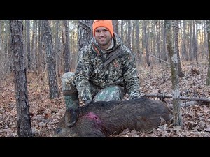 Hog Hunting Alabama