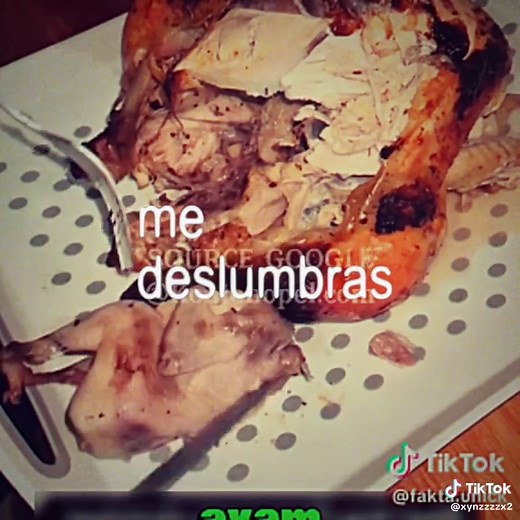 Funny Chicken Animation: A Hilarious Chicken Adventure