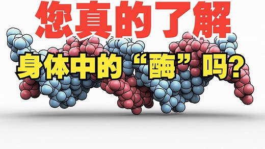 最强《生物化学》之“酶”篇 | 您真的了解酶吗？