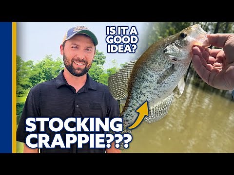 Crappie in Your Pond? Why It's Usually a BAD Idea (Pond Stocking Advice)