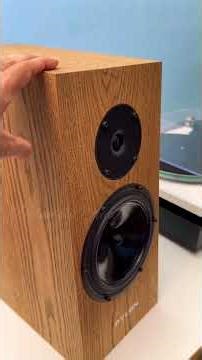 8 Lakhs worth stereo setup, a decent audiophile setup #rega #turntable #pylonspeakers