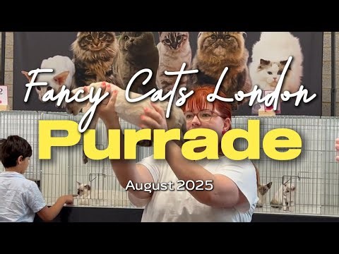London’s Fluffiest Cat Parade 🐱✨ Fancy Cats' Cat Show Purrade