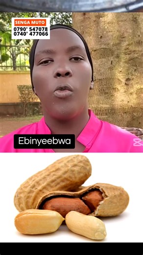 Senga muto (@senga_muto)’s videos with original sound - Senga muto