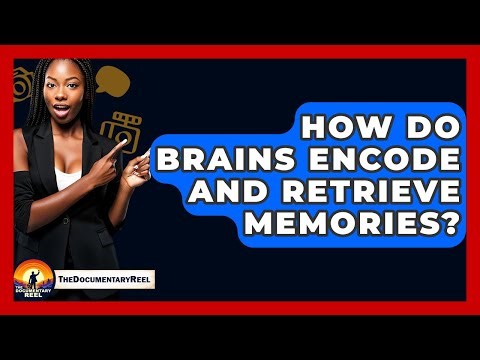 How Do Brains Encode And Retrieve Memories? - The Documentary Reel