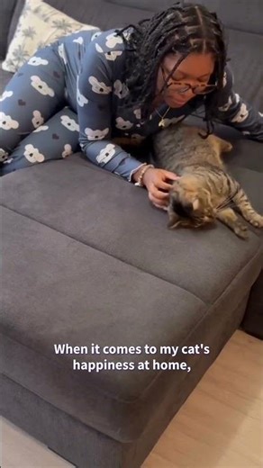 Pheromone diffuser literally saved our cat's sanity #anxiouscat #cats #Pets