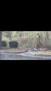 2.1K views · 11 reactions | Waycross and Ware County Georgia Happenings on Reels | Facebook