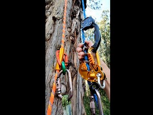 PETZL ZIG ZAG 2022 plus ROPE RUNNER PRO and MONKEY BEAVER harness