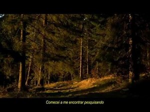 7.2M views · 137K reactions | Bob Seger - Against The Wind (1980) | PlayList do Luís | Facebook