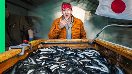 This is Japan’s weirdest seafood farm