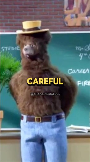 The Bear Is A MENACE - Robot Chicken Short Edit